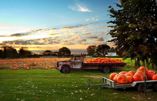 Harvest