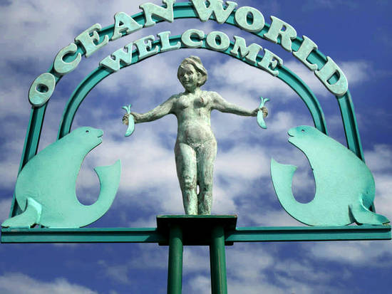 Qcean World