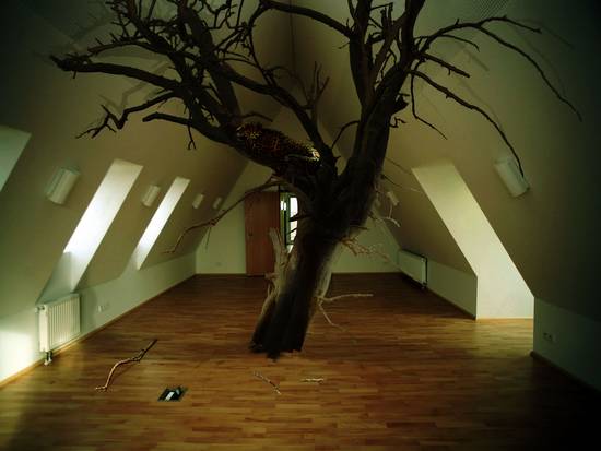 Attic trees (upd)