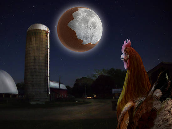 the Chicken Moon Cycle