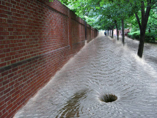 Urban Flood Waters