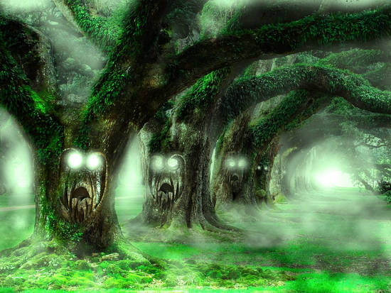 Enchanted Forest