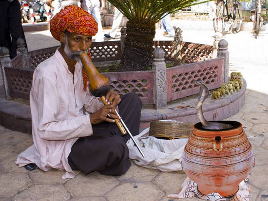 Snake Charmer