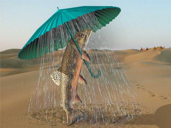 Fish Umbrella