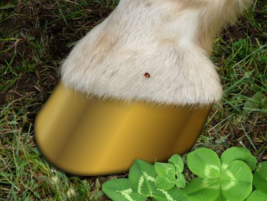 Golden Hoof