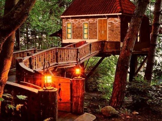 Luxury Tree House