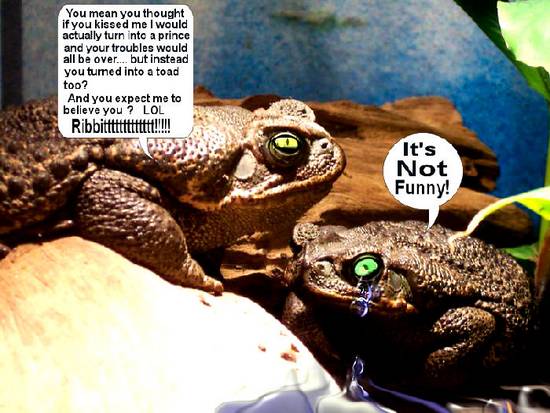 Toadally Funny