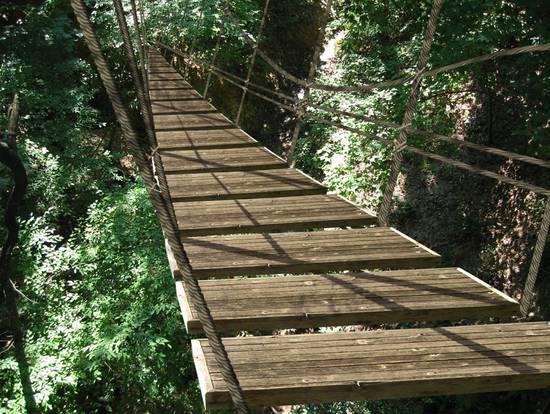 Jungle Rope Bridge