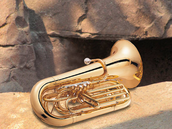 Truely Unique Horn