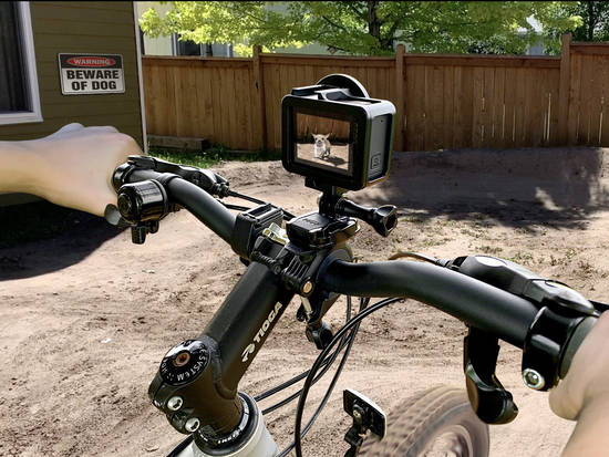 Risky backyard biking