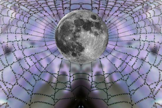 Web'd Moon