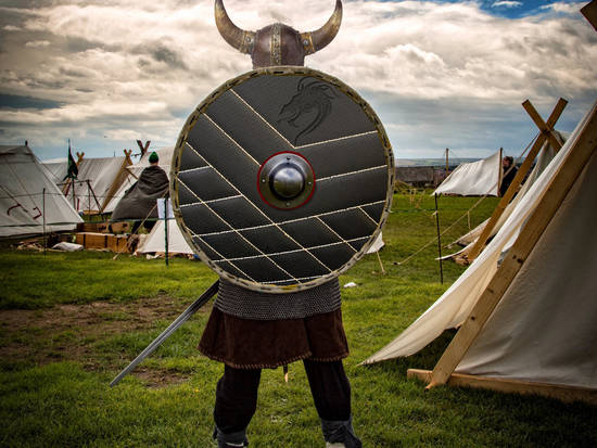 Viking Shield