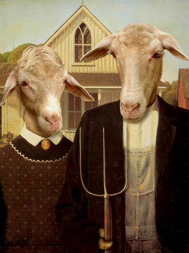 American Gothic Sheep