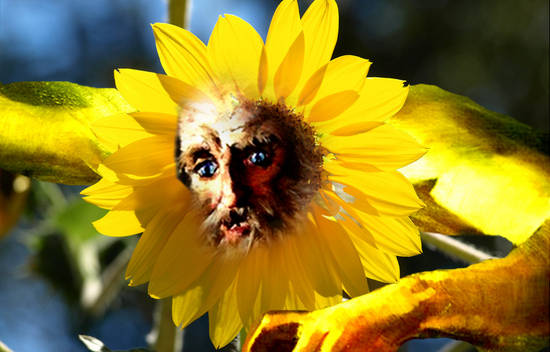 SunFlower God part 2