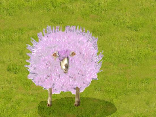 purple sheep