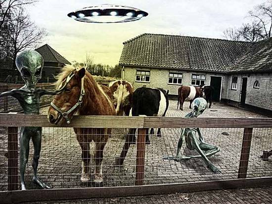 visit of alien