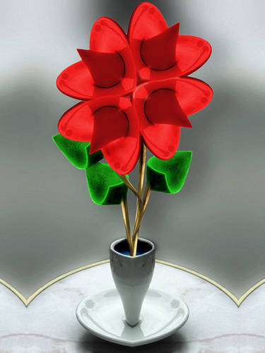 Poinsettia