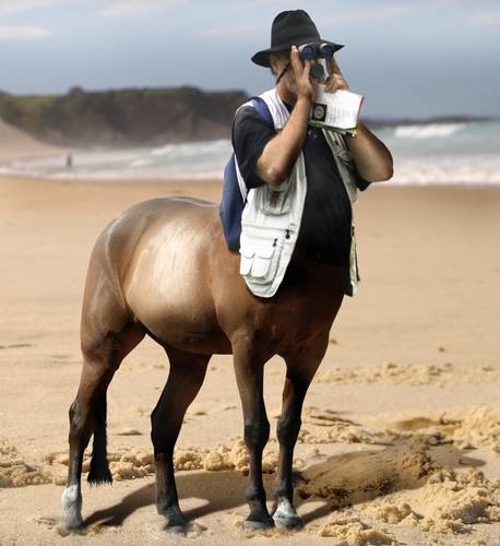 Centaur Carl's Vacation