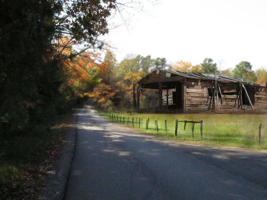 country lane