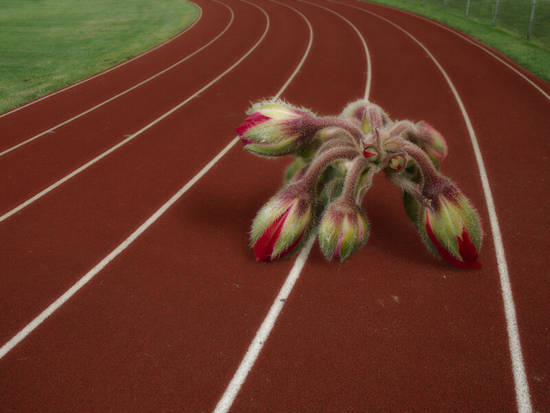 Running Track