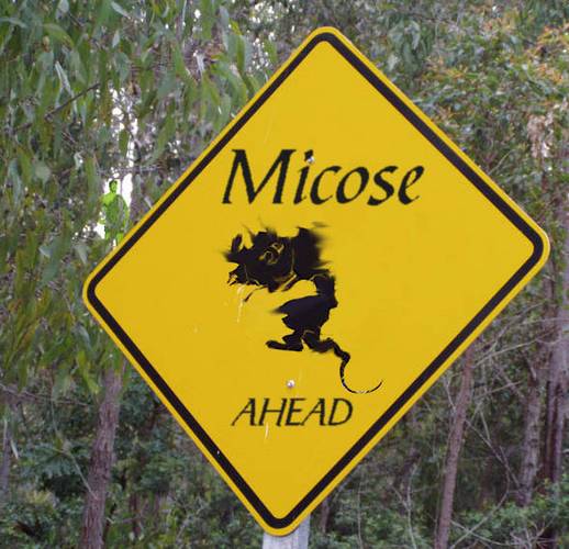 Micosian Warning