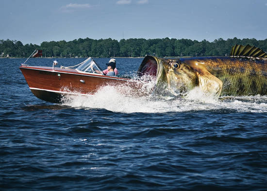 Largemouth for a Reason