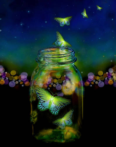 BUTTERFLY JAR