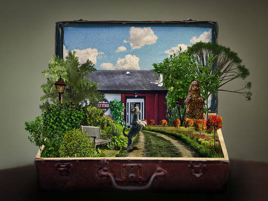 Suitcase garden