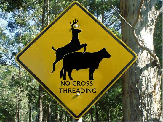 No Cross Thredding