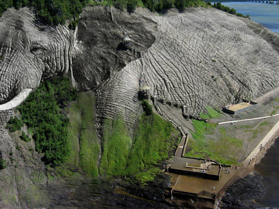 elephant mountain