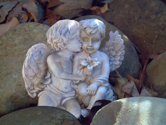 Cherub love