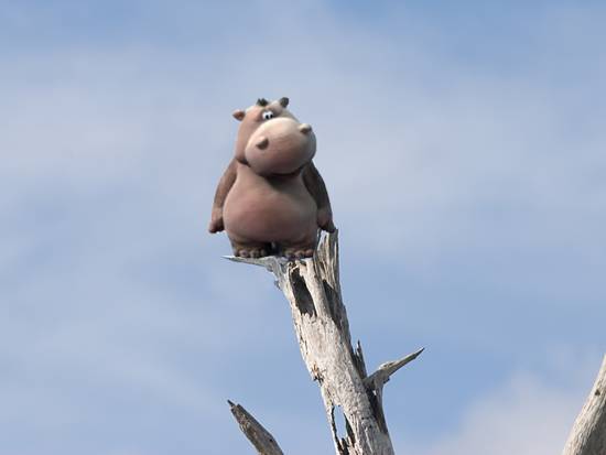 Acrobat Hippo