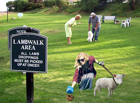 Lamb Park