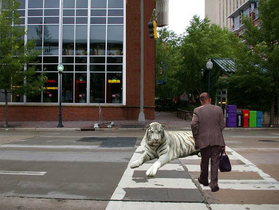 Eaten zebra crossing.