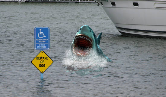 Shark Enforced