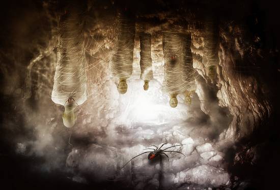 Spider cave