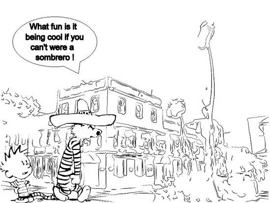 Calvin And Hobbes