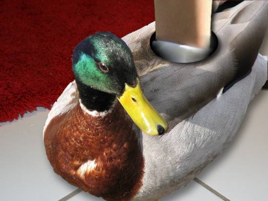 Mallard-slipper