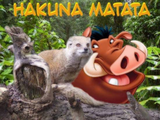 Hakuna Matata