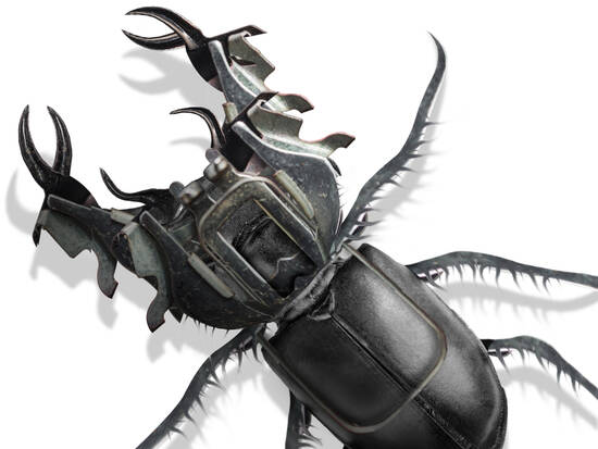 Full Metal Beetle