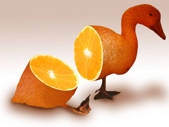 Duck a l'orange