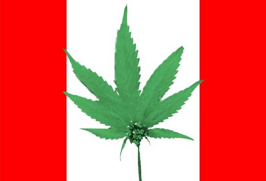 Canadian Flag