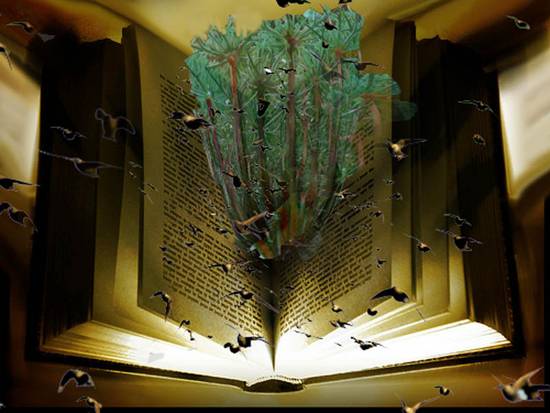 Enchanted book