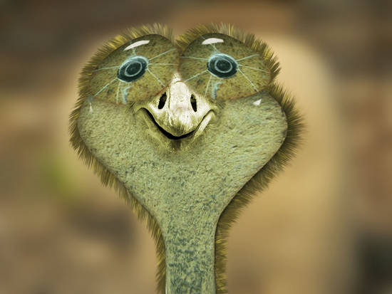 ostrich 