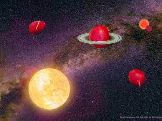 Radishes in space