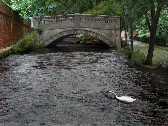 The Old Bridge.