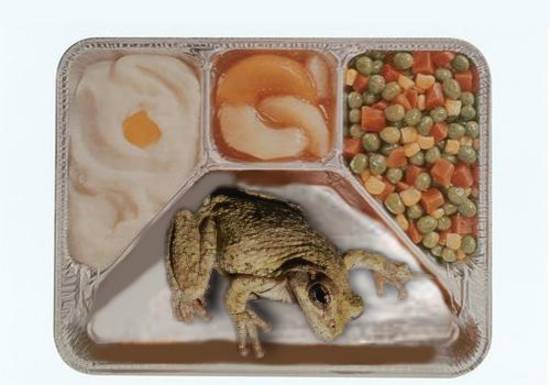 TV DINNER