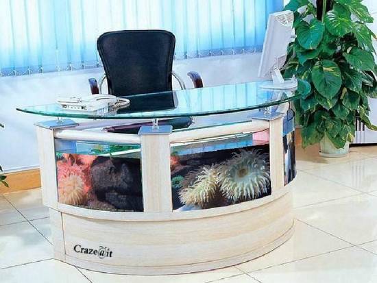 Aquarium Desk