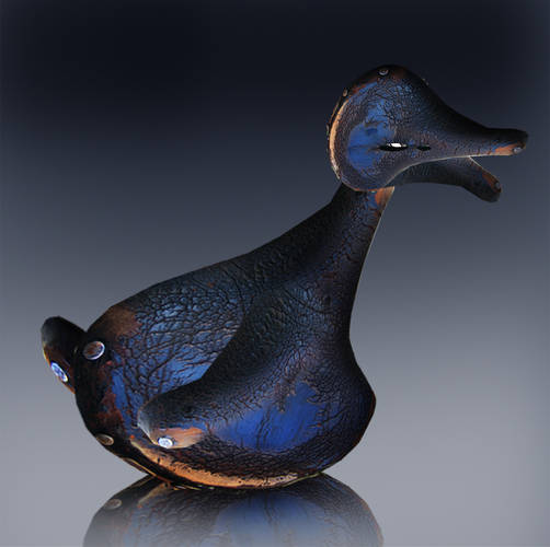 Saddle Back Duck