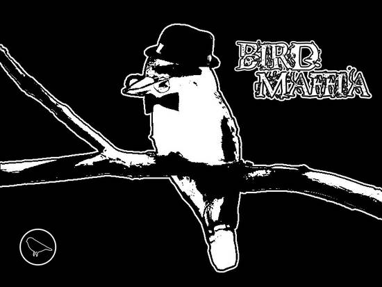 Bird maffia